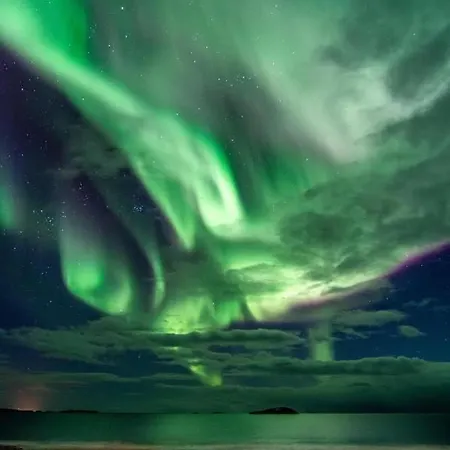 民宿 Visit Leif At Senja