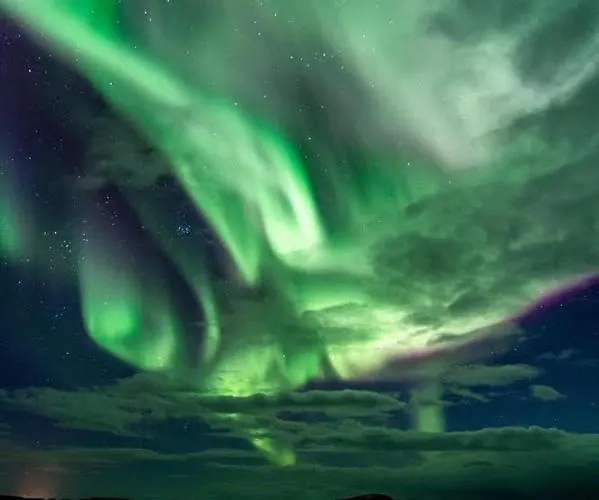 Alloggio in famiglia Visit Leif At Senja