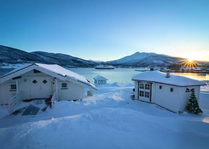 Alloggio in famiglia Visit Leif At Senja